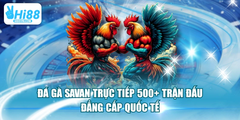  Đá Gà Savan Trực Tiếp 500+ Trận Đấu Đẳng Cấp Quốc Tế 